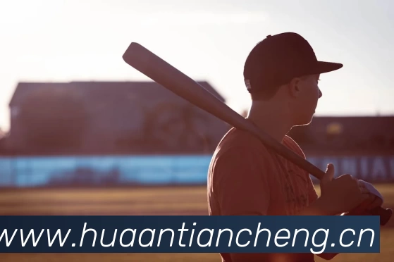 滚球官网app平台生态图